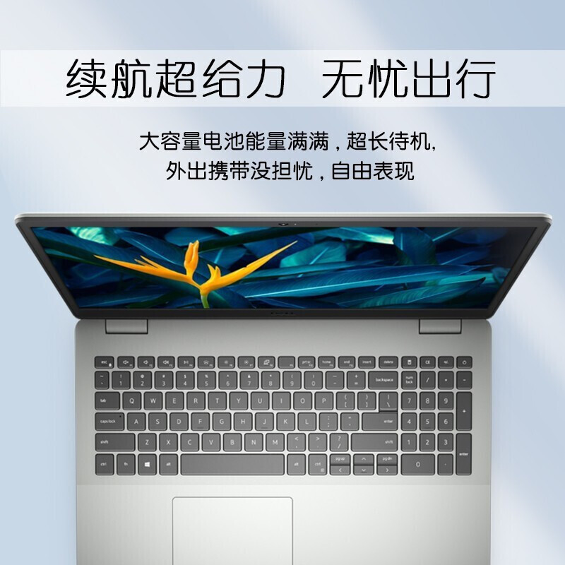 戴尔(DELL)灵越3511 15.6英寸全面屏高清学生网课商务办公轻薄本笔记本电脑(11代i5-1135G7 16G 1TB固态 锐炬显卡)银色 定制版