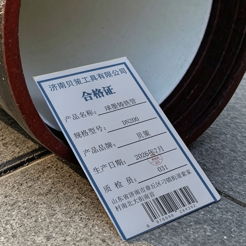 贝策 球墨铸铁管 DN200 米高清大图