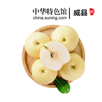 [中华特色]威县馆 雪青梨 2.5斤 当季新梨子个大饱满 脆甜爽口 新鲜水果 华北