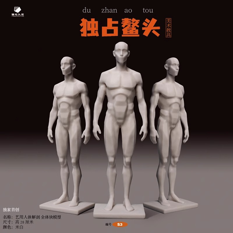 艺用人体解剖体块与肌肉模型(S2)+ 艺用人体解剖 全体块模型(S3) [正版]美术教具新品发布艺用人体解剖教具速写 比高清大图