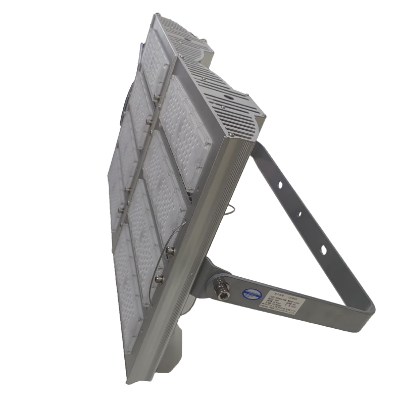 光大特照 EBF209(LQ)-400 400W 220V IP66 固定式通用灯具 (计价单位:个) 银色高清大图