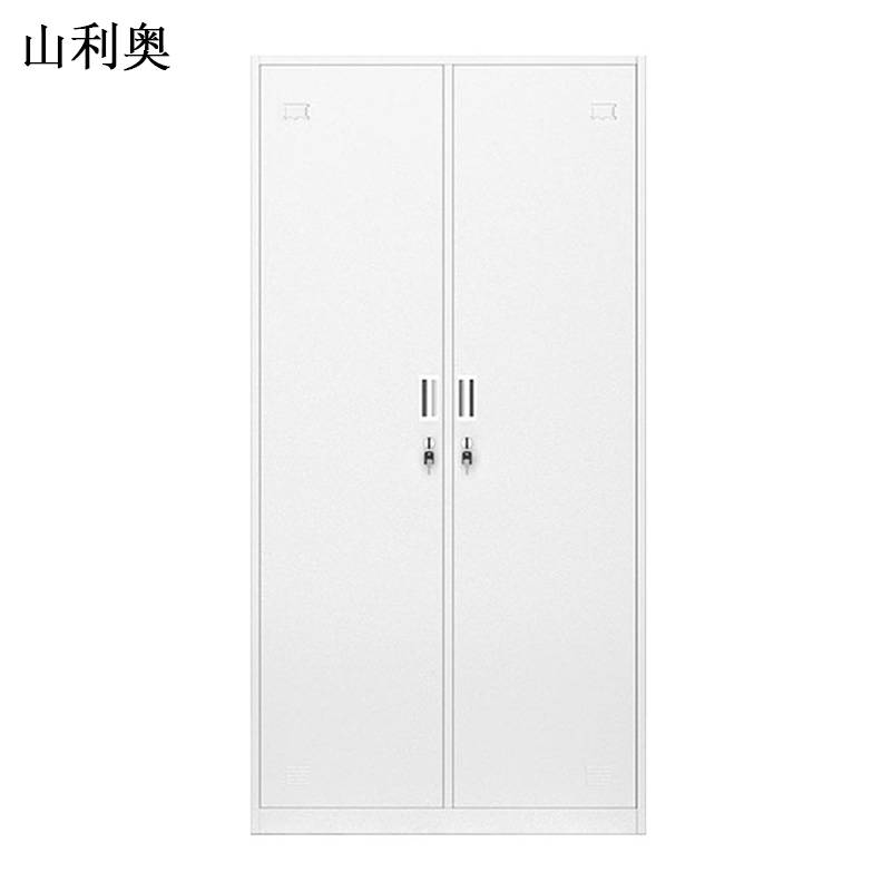 山利奥 两门文件柜 850*390*1800mm 1个