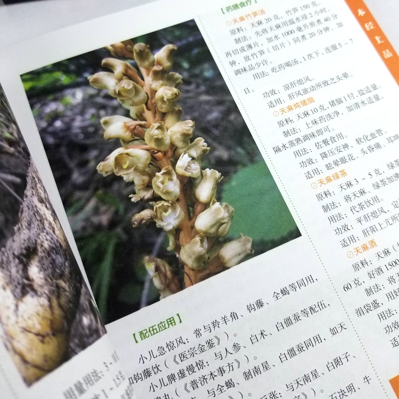 [醉染正版]全17册中医草药书籍本草纲目正版李时珍全集彩图黄帝内经千金方伤寒论金匮要略温病条辨神农本草经偏方验方秘方中草高清大图
