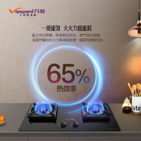 万和[龙燚火] JZT-Q3L03Q 天然气燃气灶 5.2kW大火力双眼灶 钢化玻璃台嵌两用一级能效 嵌入式台式