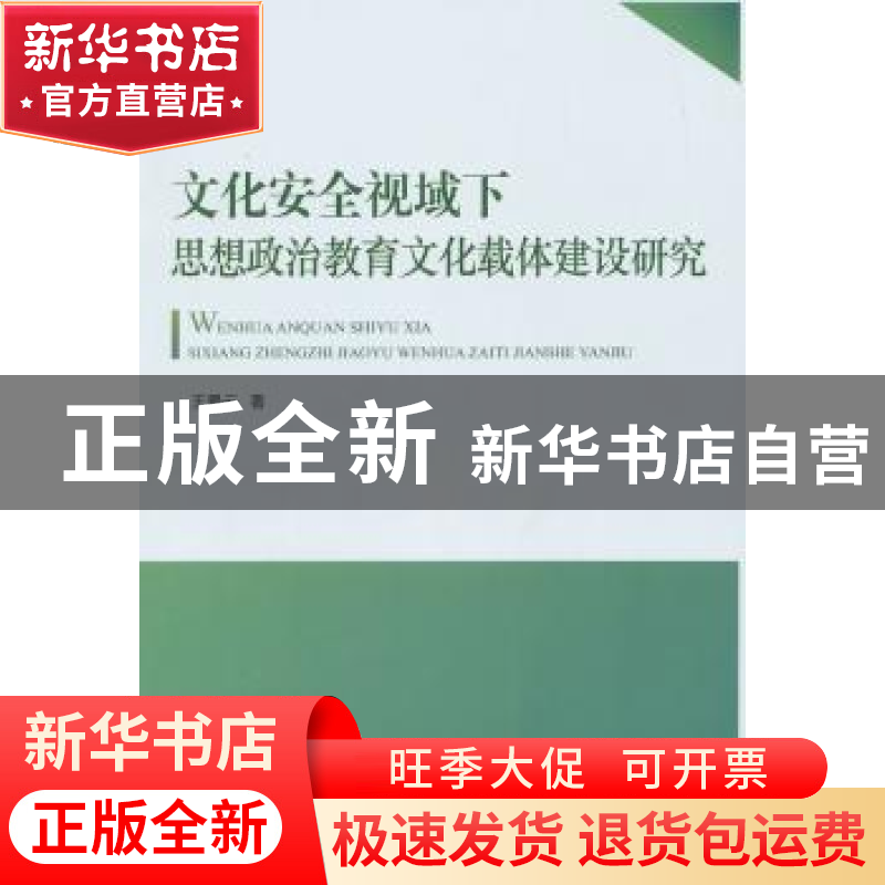 正版 文化安全视域下思想政治教育文化载体建设研究 王景云著 人高清大图