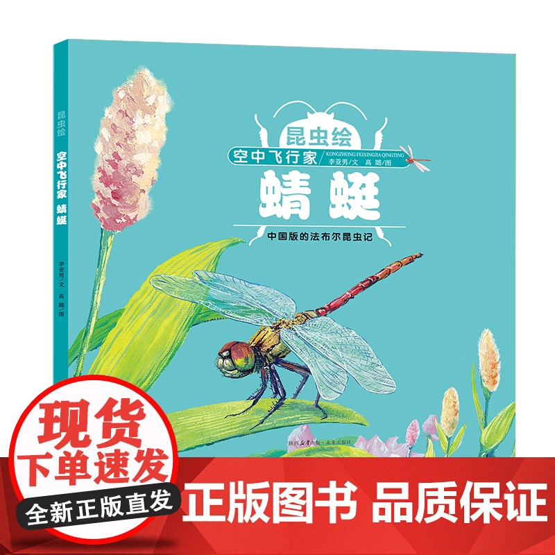 空中飞行家:蜻蜓高清大图