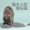 猫砂膨润土活性炭矿砂结团低尘猫沙矿砂