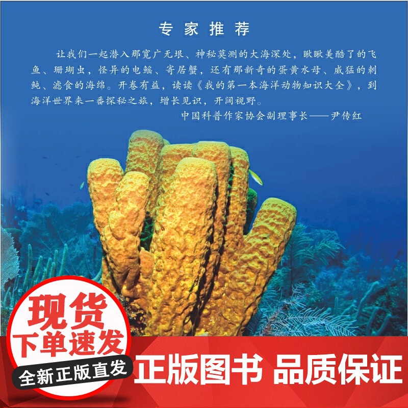 我的第一本海洋动物知识大全 鱼类图鉴、海洋生物 、 海洋生物知识 、海洋世界高清大图