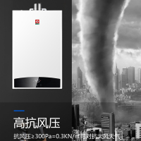 樱花(SAKURA)燃气热水器JSQ25-A103 13L 高抗风压 环保节能省气 天热气热水器