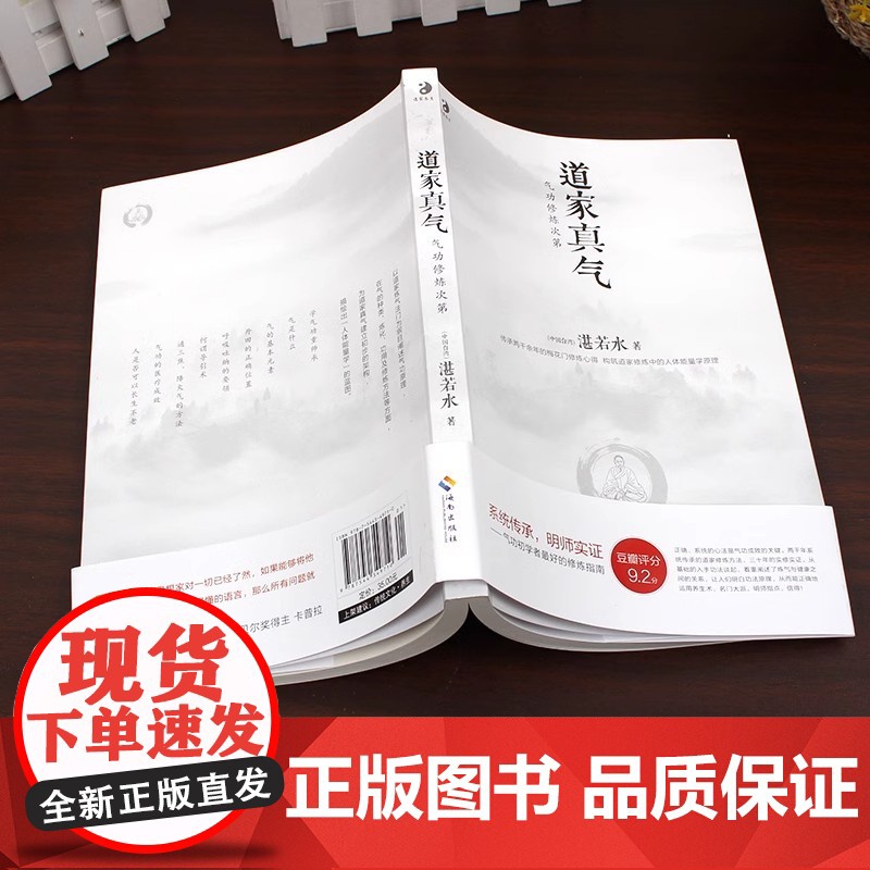 道家真气 气功修炼次第 中国台湾 湛若水 海南出版社 正版书籍 梅花门心得 系统传承名师实证气功初学者最好的修炼指南高清大图