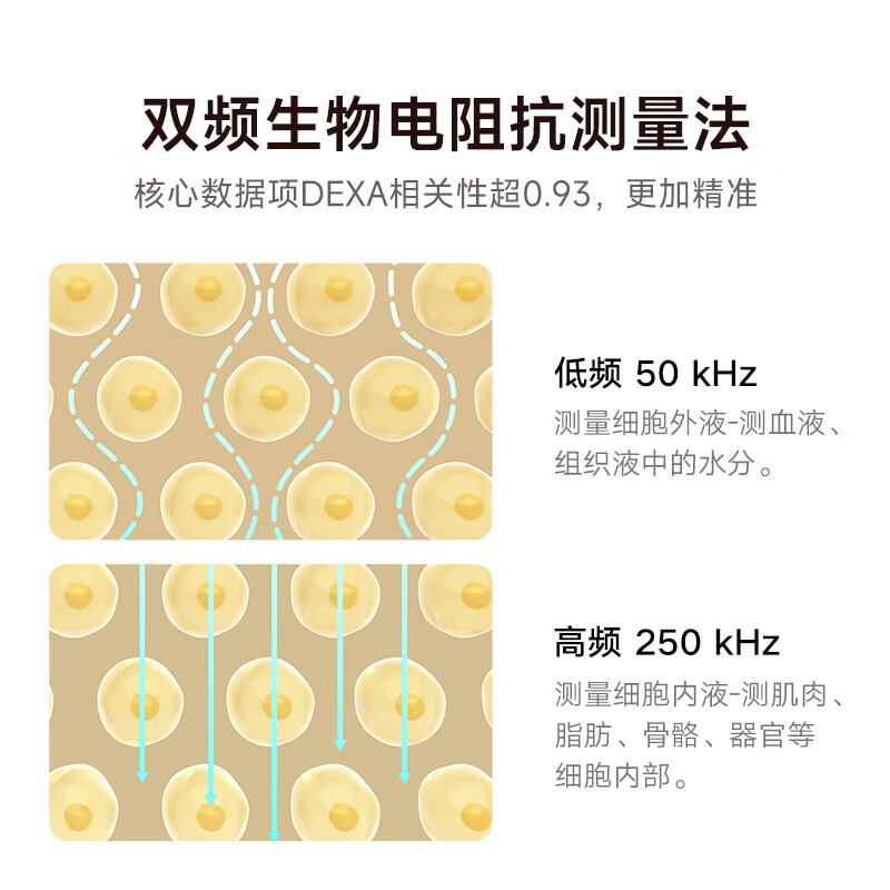 小米米家体脂秤S400 Pro彩屏智能电子秤人体秤体重秤高精准电子称健康高清大图