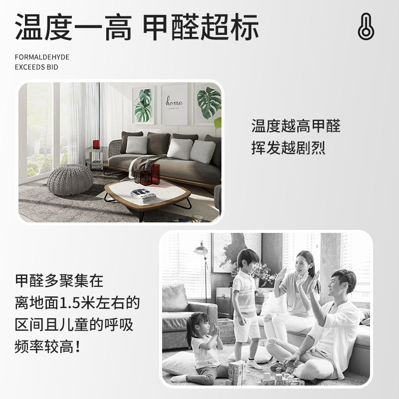 绿之源 除醛变色魔豆汽车室内除甲醛清除剂除味500g高清大图