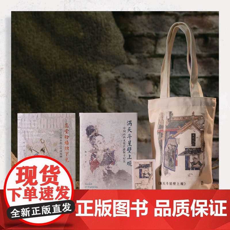 满天斗星壁上观 中国山西文化古迹探寻纪实+高堂粉墙烛下见中国山西乡村古壁画探幽 江苏凤凰美术出版社杨平十年田野考察手记高清大图