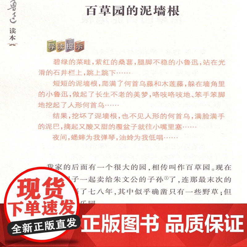 小学生鲁迅读本浙江少年儿童出版社六年级必读的课外书鲁迅杂文集作品集社戏儿童文学名家经典书系9-14岁读物四五年级课外阅读高清大图