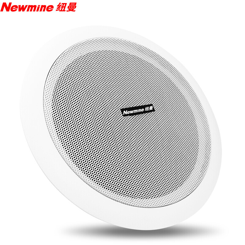 纽曼(Newsmy)功放吸顶音响 R16 6英寸一拖六 1个功放配6个喇叭+10米音响线高清大图