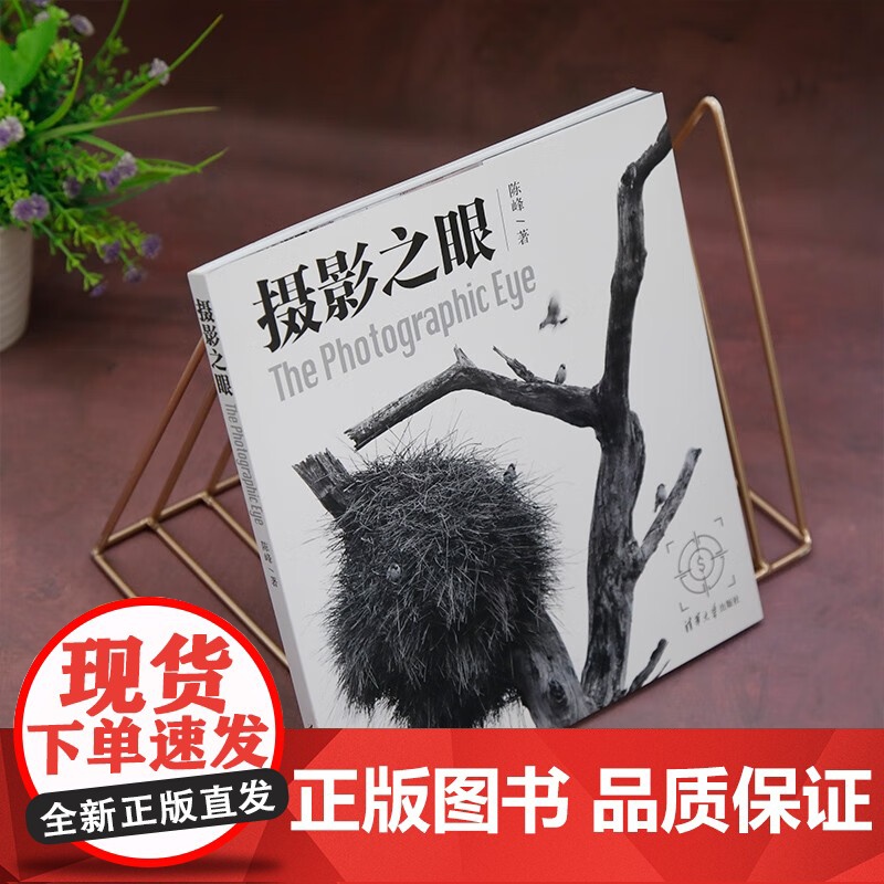 摄影之眼 陈峰 著 摄影高清大图