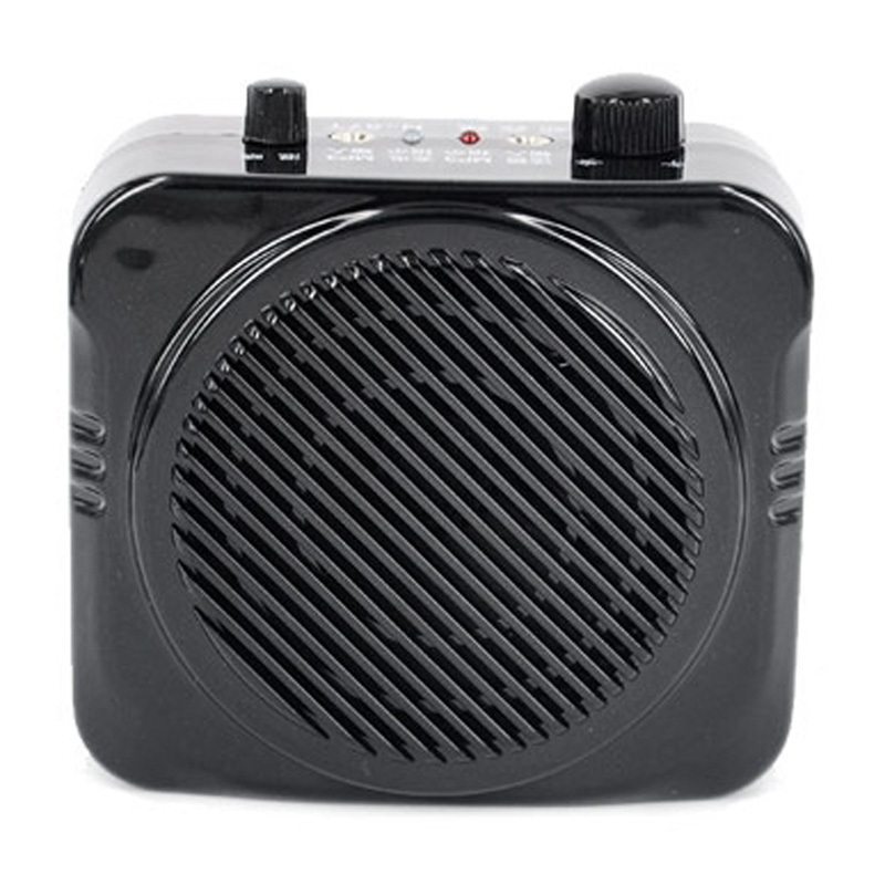 Philips 随身携带收音扩音器 小蜜蜂 黑色(JC)