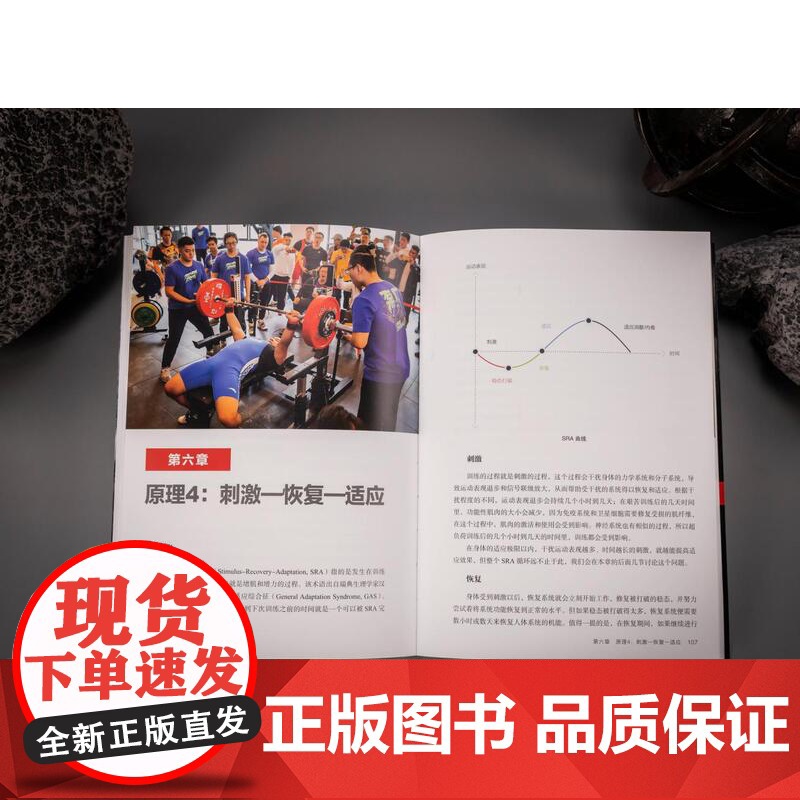 力量训练原理 真正讨论力量训练基本原理的书 学透肌肉与力量增长的核心原理 国际运动科学领军人抗鼎之作 北京科学技术高清大图