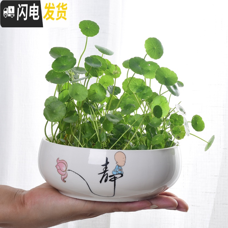 三维工匠水仙花盆简约陶瓷特大号水养睡莲碗莲盆缸铜钱水培花盆器皿 绿色小盆 大花盆容器高清大图