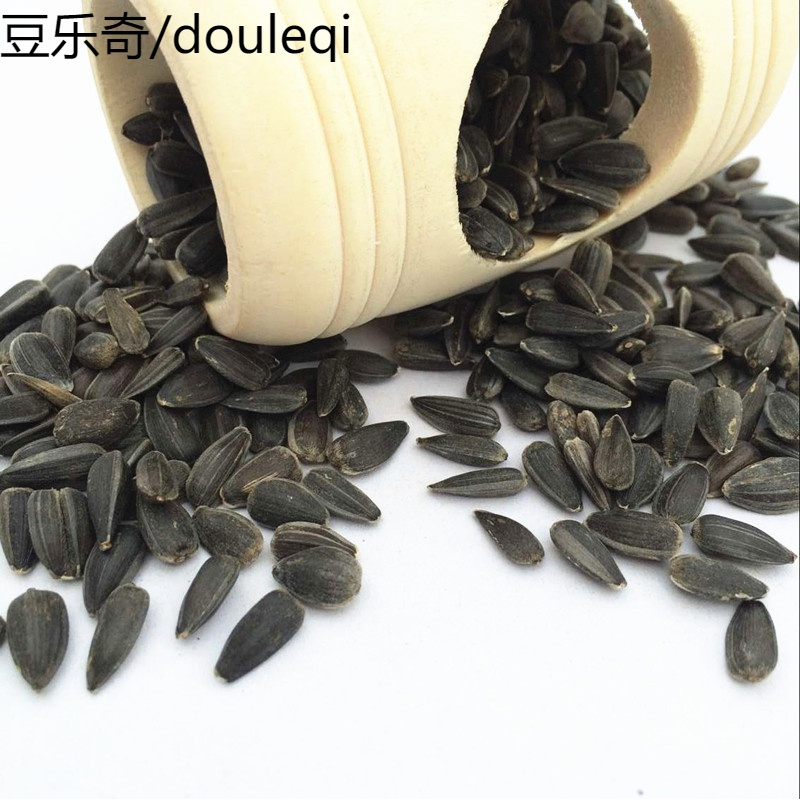 黑珍珠小瓜子葵花子油葵籽鹦鹉鸟食仓鼠零鸟粮250克报价 参数 图片 视频 怎么样 问答 苏宁易购