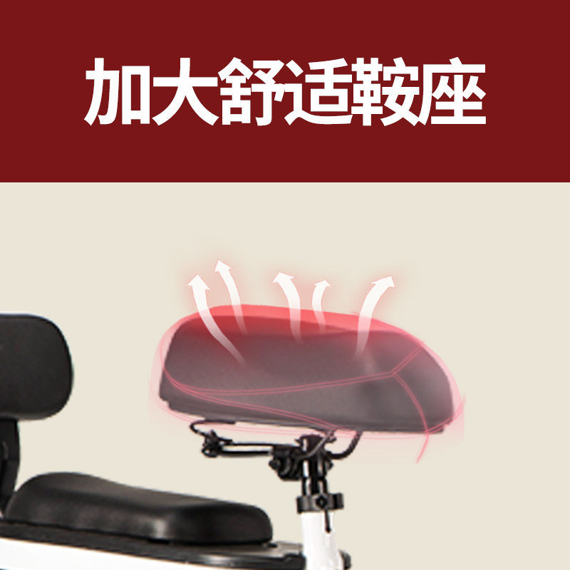 爱玛(AIMA) 新国标 48V12AH 轻便可提取锂电车 多乐 云雾蓝/亚黑高清大图