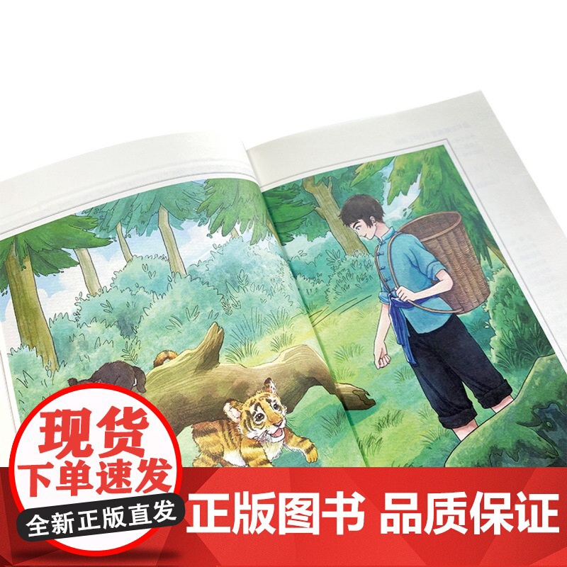 《虎兄犬弟》2024百班千人六年级暑假阅读小学生课外阅读书籍9-12岁儿童文学小说正版三四五六年级青少年儿童文学成长高清大图