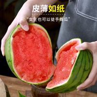 顺丰快递[西沛生鲜]现摘2k小糖丸西瓜 净重6.5-7斤 2个装 新鲜网红脆甜蜜瓜整个