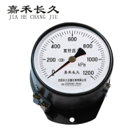 嘉禾长久 轴向双针表 YYS-JY-100Z 24V带灯 台
