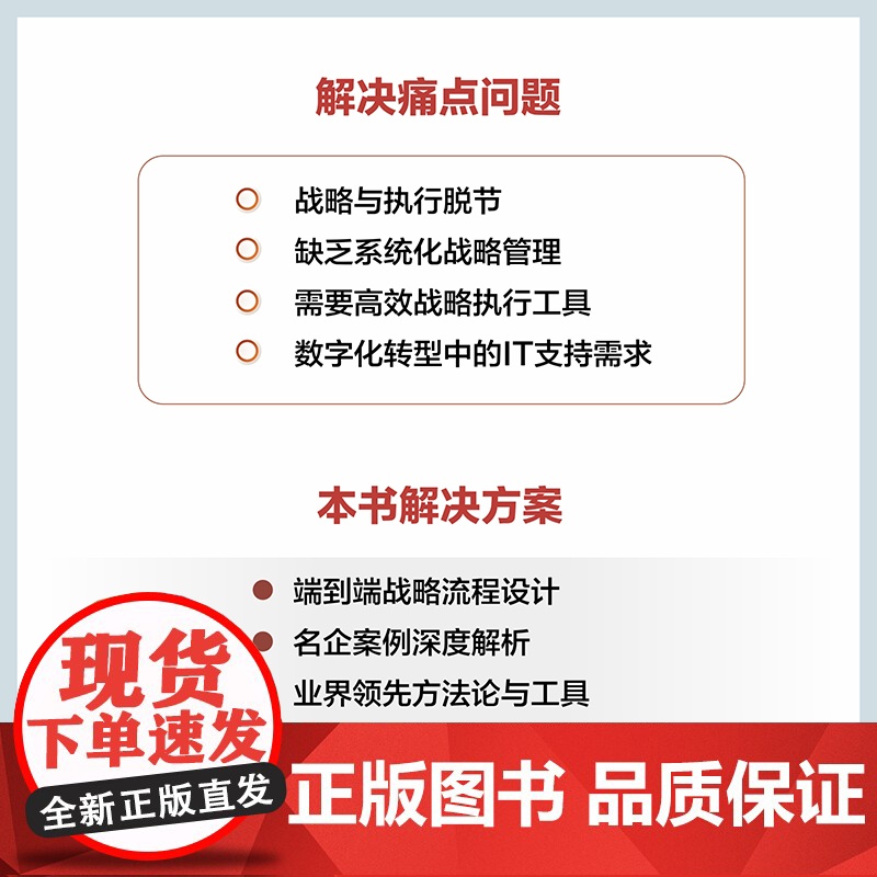 店 DSTE 从战略到执行 胡红卫 DSTE管理变革 企业战略管理理论实践 BLM MM BEM三大领先战略方法论应用高清大图