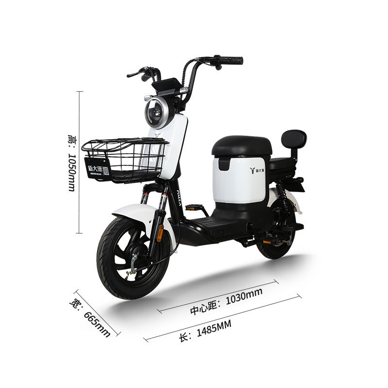 派乐/PALLA KX 新国标电瓶车48V12AH男女士成人踏板代步车两轮电动自行车 油光黄色