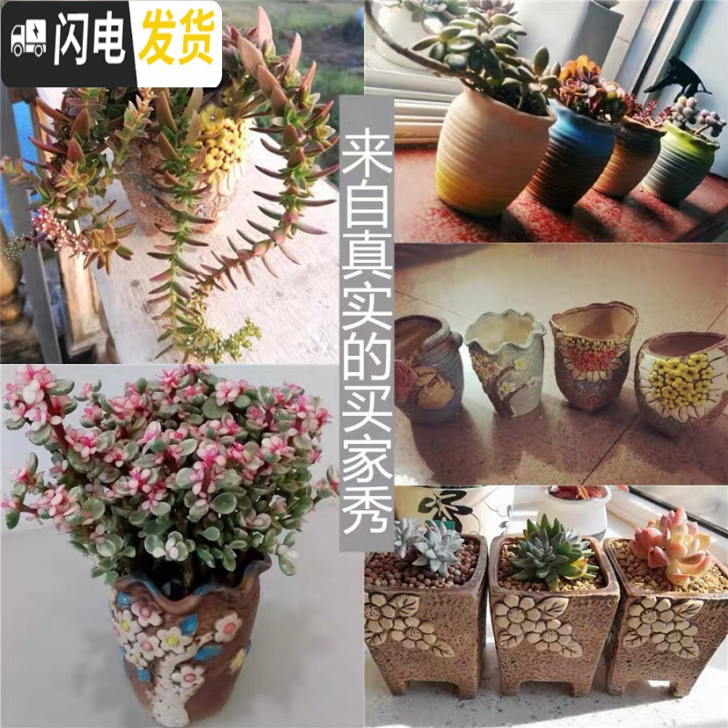 三维工匠多肉花盆陶瓷大号老桩花盆创意法师陶罐粗陶肉肉植物花盆 ()把手2件套 中等花盆容器高清大图