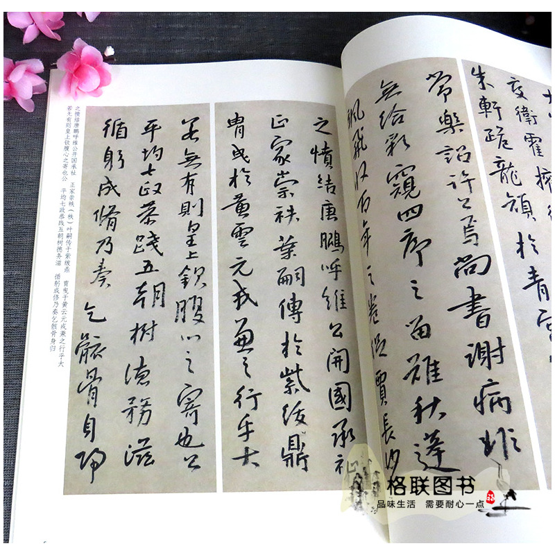 [正版]单本清八大山人书法精选历代碑帖精粹第七辑简体旁注毛笔碑帖字帖清代历代名家书法临摹法帖曹彦伟北京工艺美术出版