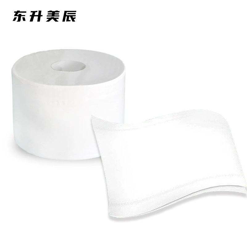 东升美辰 中心抽大盘纸700g9.5cm 12卷 DS-BH240 箱高清大图