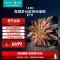 海信电视75E7H 75英寸 ULED多分区控光 4K 144Hz原生屏电视机85