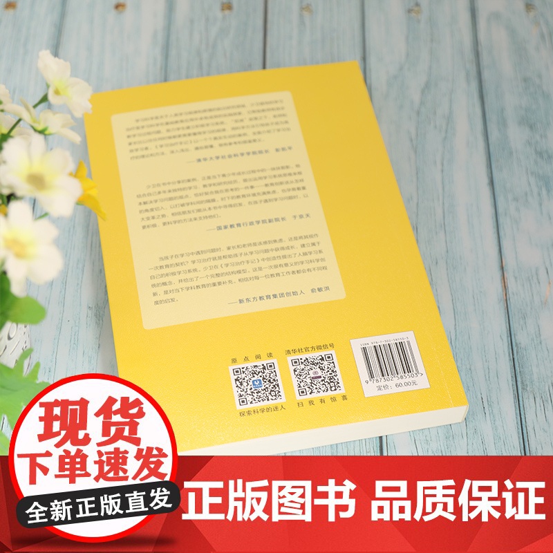 学习治疗手记 人类故事 清华大学出版社 正版书籍出版 作者宋少卫 入选2021年度中国教育新闻网影响教师的100本书高清大图
