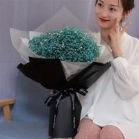 大束满天星干花花束鲜花速递毕业照送闺蜜老婆女友生日礼物花束