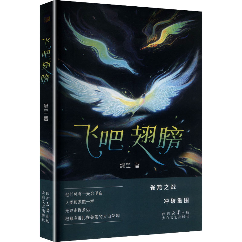 正版新书]飞吧,翅膀绿笙 著 著9787551328999高清大图