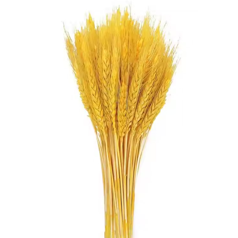 锦瑞星装饰仿真花摆件麦穗干花F3-A个高清大图