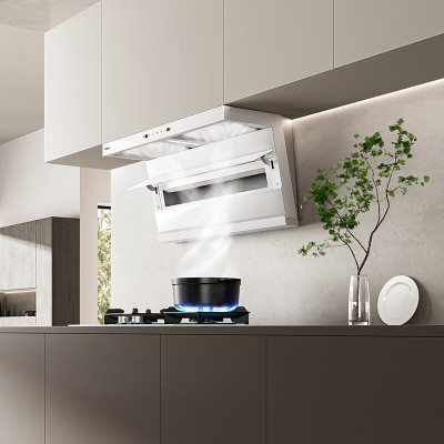 老板（Robam）大吸力烟机 白色小黑翼D1P油烟机27A16-D1P