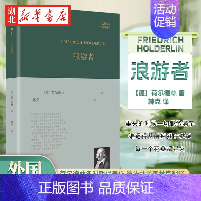 浪游者 【正版】书籍 浪游者 巴别塔诗典系列精装本 经典诗歌经典翻译 荷尔德林各时期代表作 德语翻译家林克翻译 外国诗歌