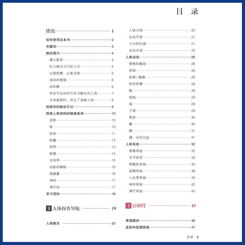 [正版]推拿按摩的解剖学基础第6版探查人体触感差异推拿按摩书籍教程人体结构肌肉解刨运动系统局部疗法物理康复治疗师肌骨触高清大图