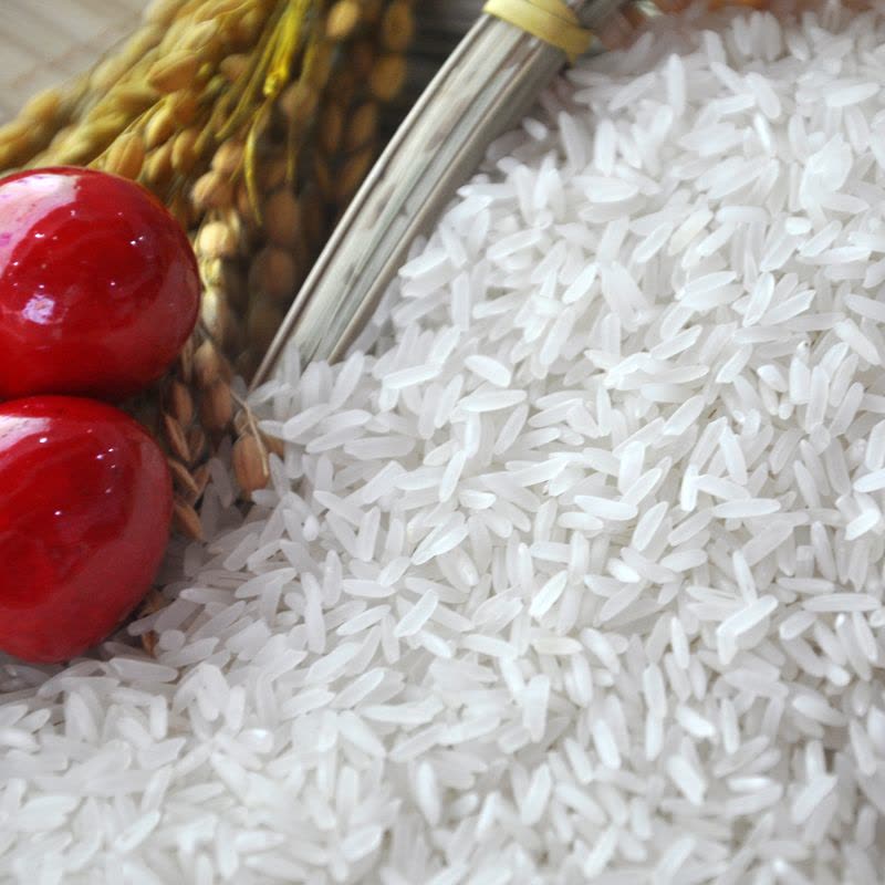 角山(JiaoShan)大米生态富硒米10斤绿色食品长粒细米洞庭香米产地直供5kg图片