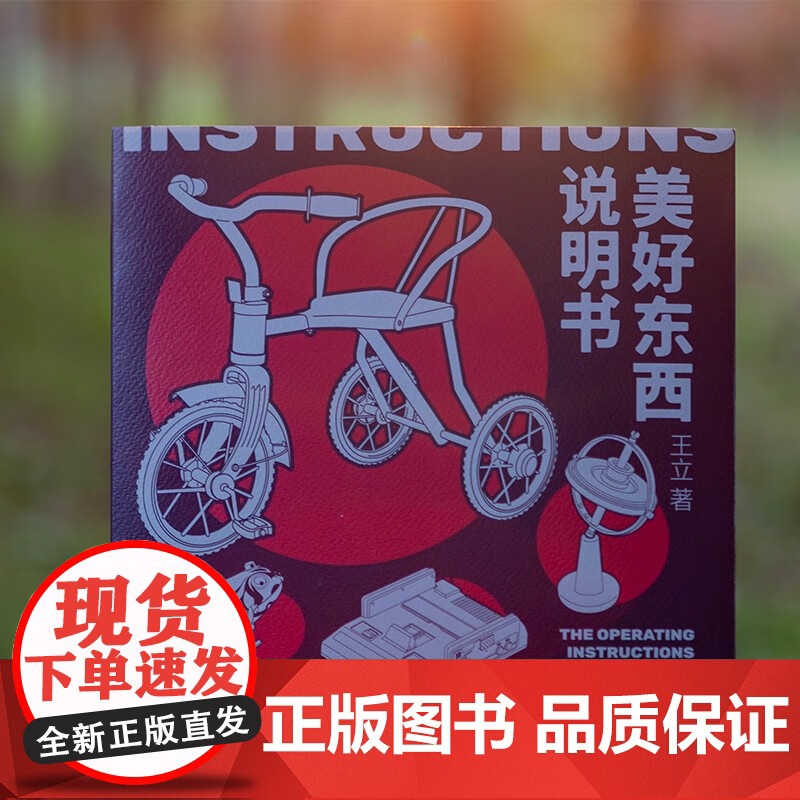 美好东西说明书 王立 著 中国文学高清大图