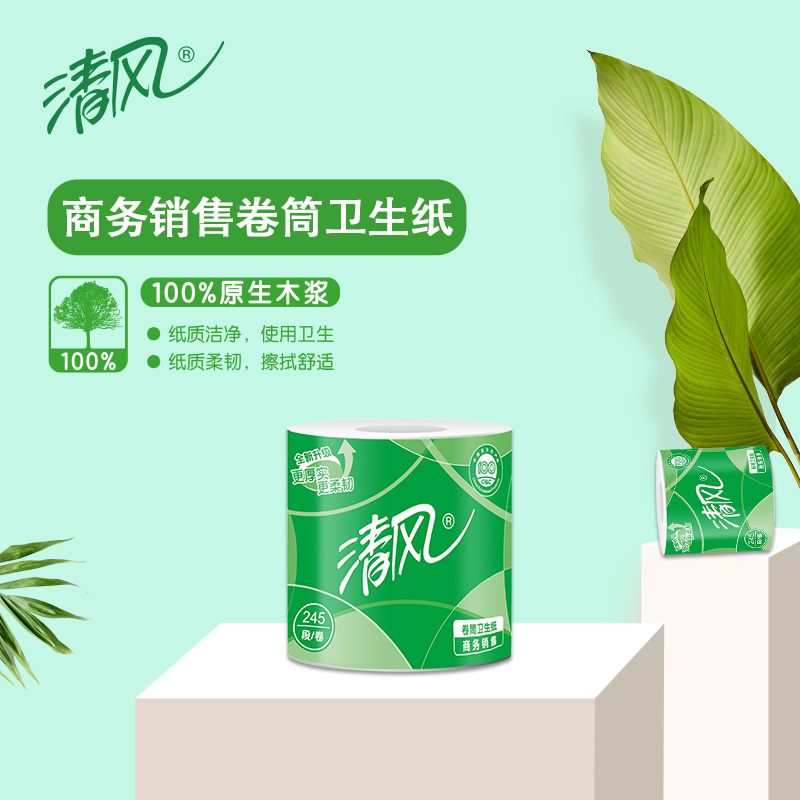 清风 商用245段有芯卷筒纸10卷/提*2提(B22AA3S-2T)ZC -高清大图
