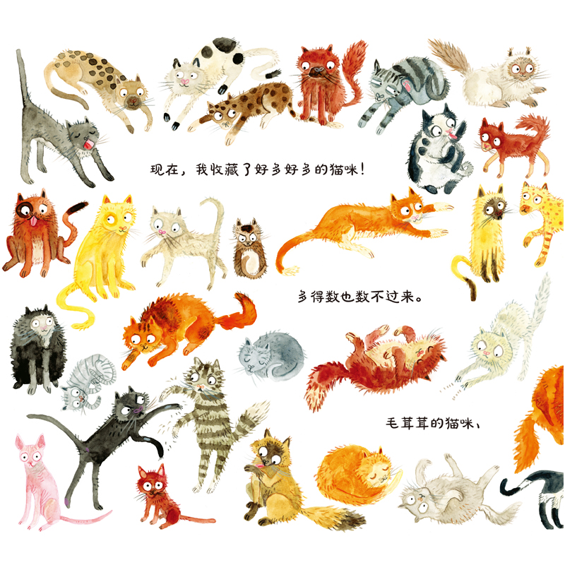 图书>童书>平装图画书>甘肃少年儿童出版社>全新猫咪收藏家(英)洛娜