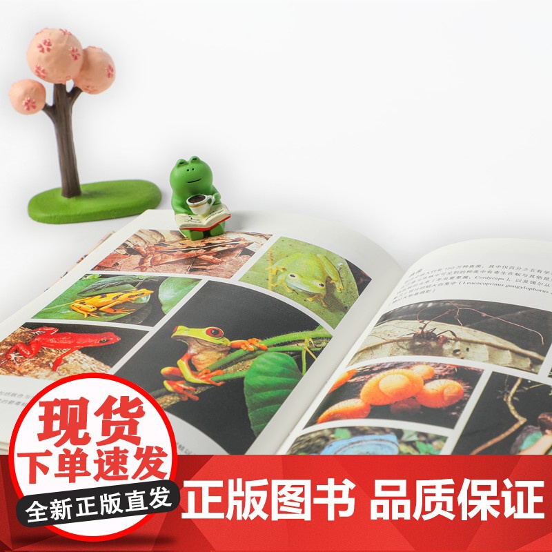 缤纷的生命爱德华 威尔逊 著 生物多样性之父 两届普利策奖得主 物种起源续篇 自然世界和缤纷物种的曼妙高清大图