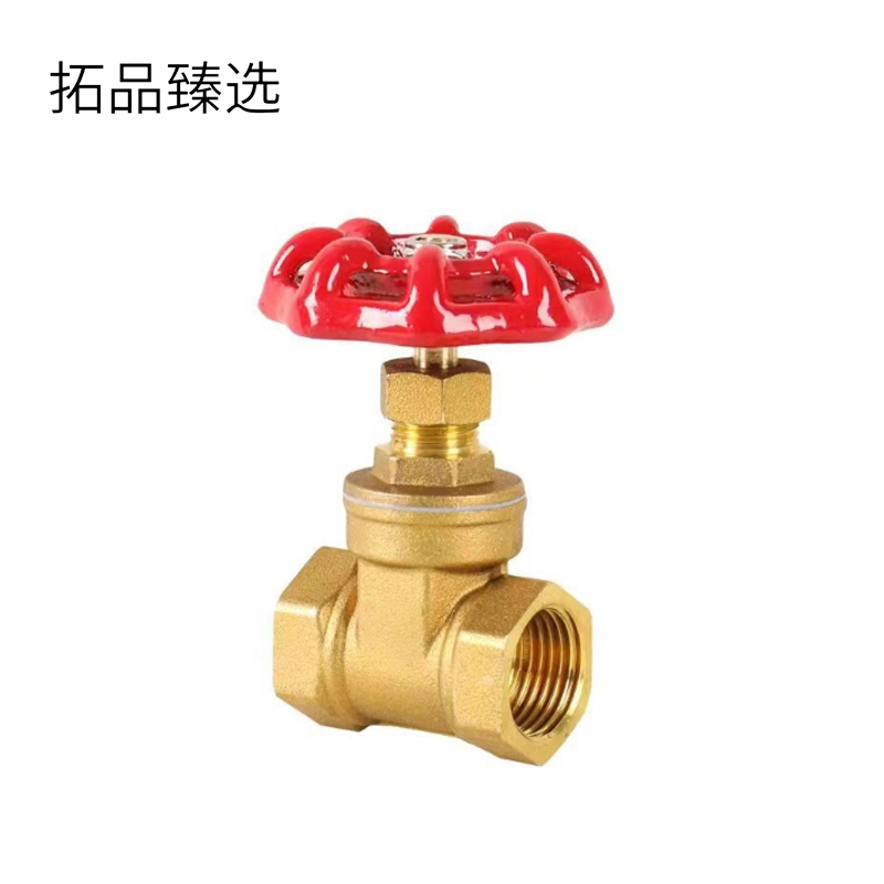 拓品臻选 铜闸阀 25 个
