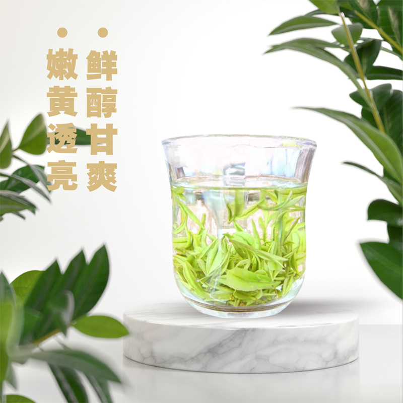 双狮 茉莉毛尖250g/罐高清大图