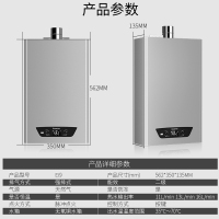 阿里斯顿(ARISTON)16升燃气热水器JSQ32-EI9 FD 12T