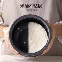 九阳(Joyoung)电饭煲家用4升柴火饭大火力快煮智能预约多功能焖煮防溢电饭煲电饭锅F-40FZ815